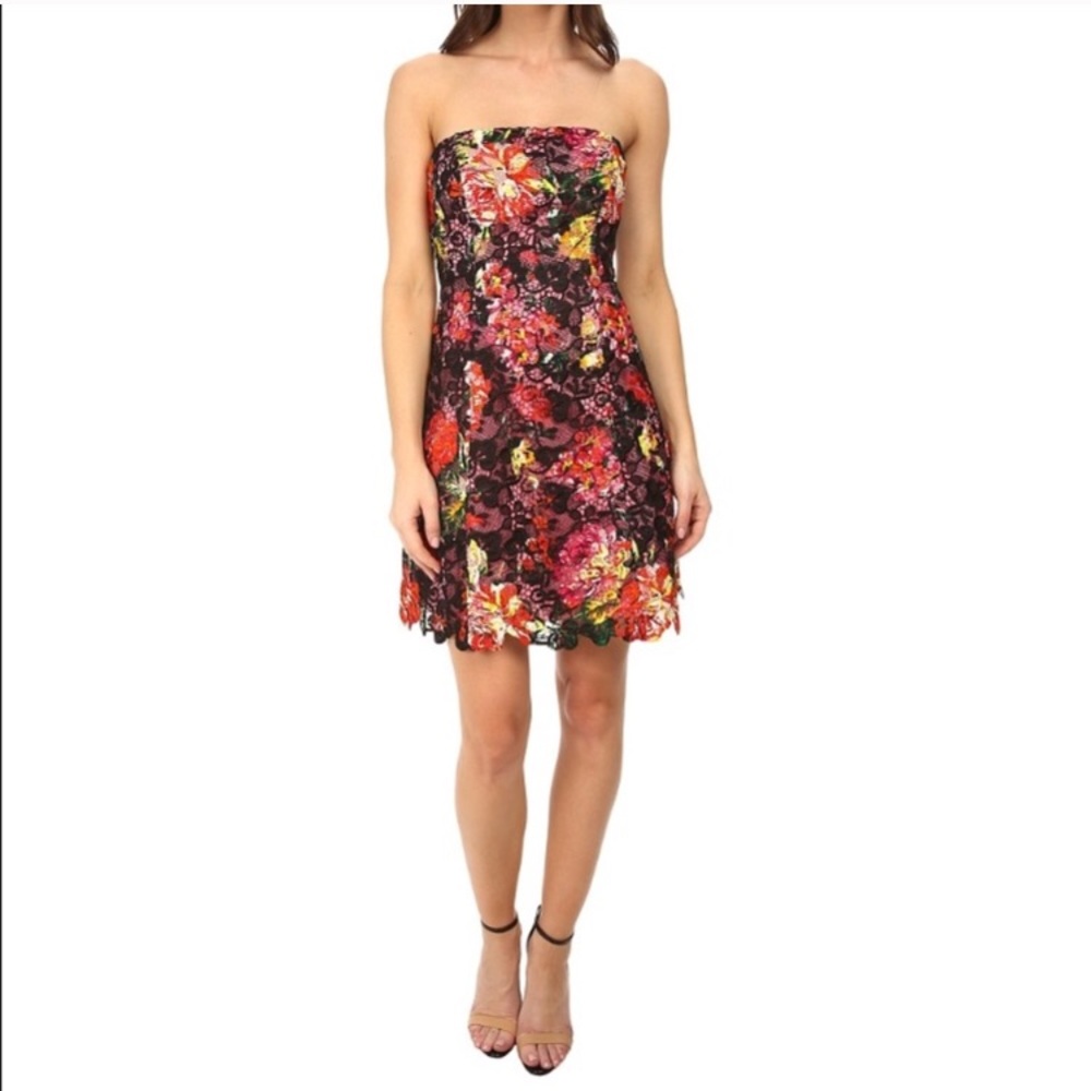 Adrianna Papell Lace Strapless Dress